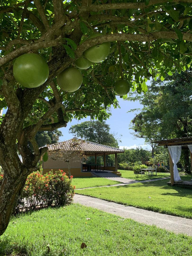 Hotel Bosque Do Porto Porto Seguro